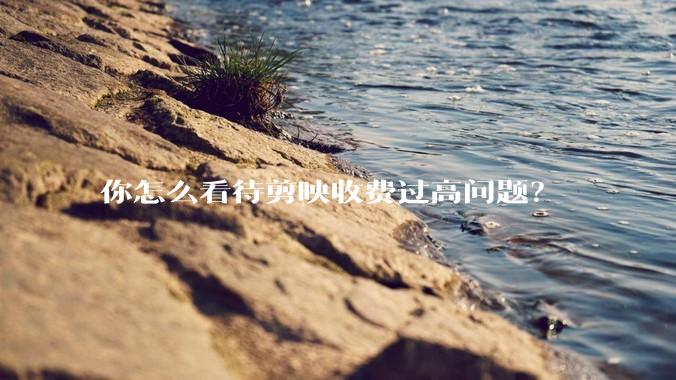 你怎么看待剪映收费过高问题？